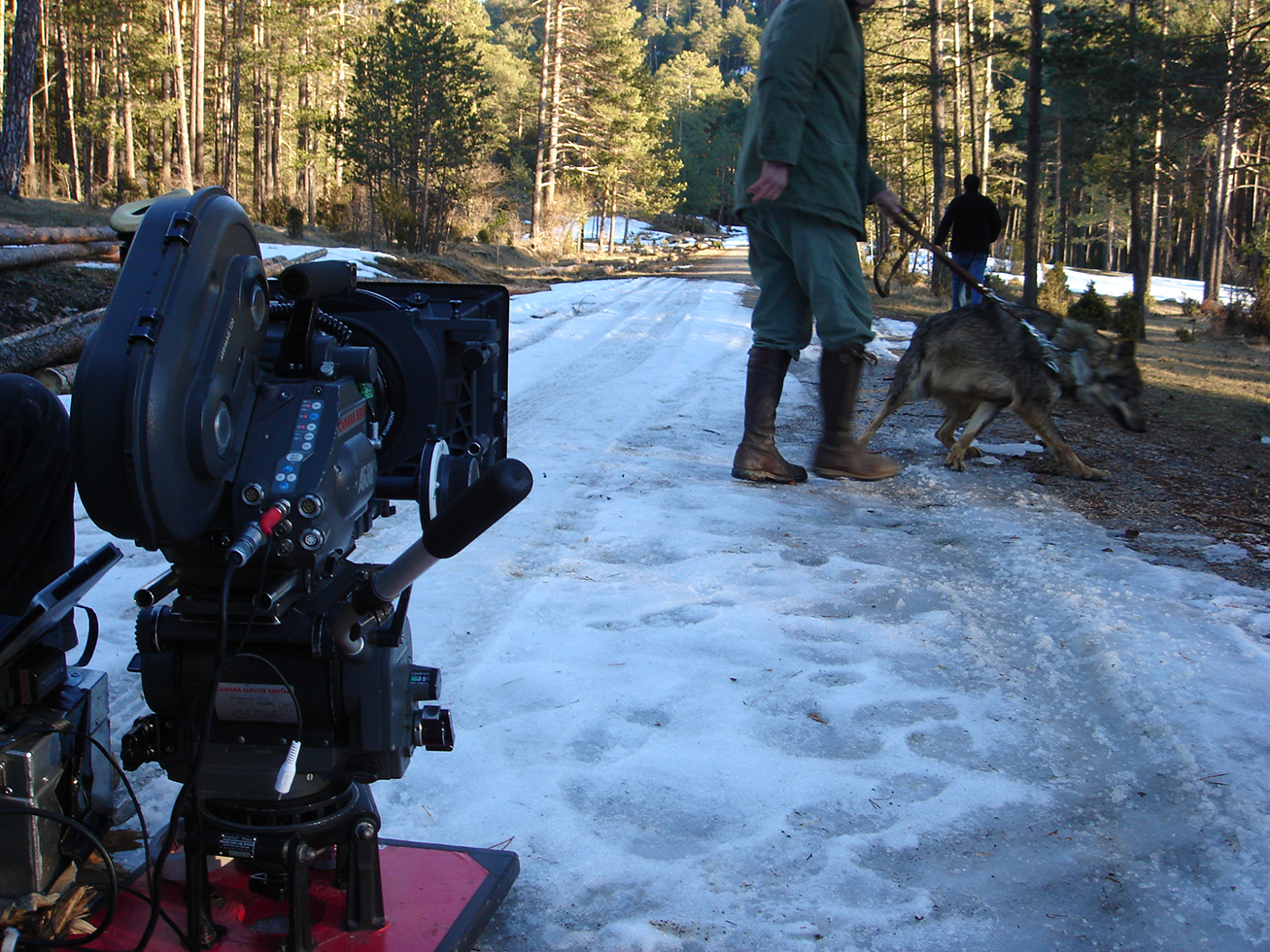 The Cast. Production Services. On Set. Animals